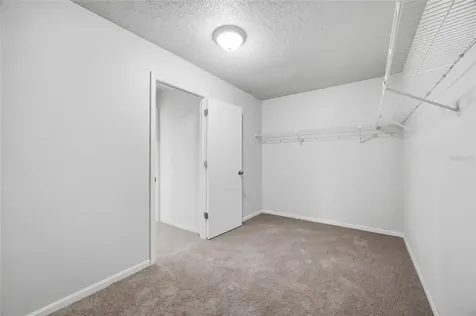 1441 Monte Lake Drive Valrico FL 33596
