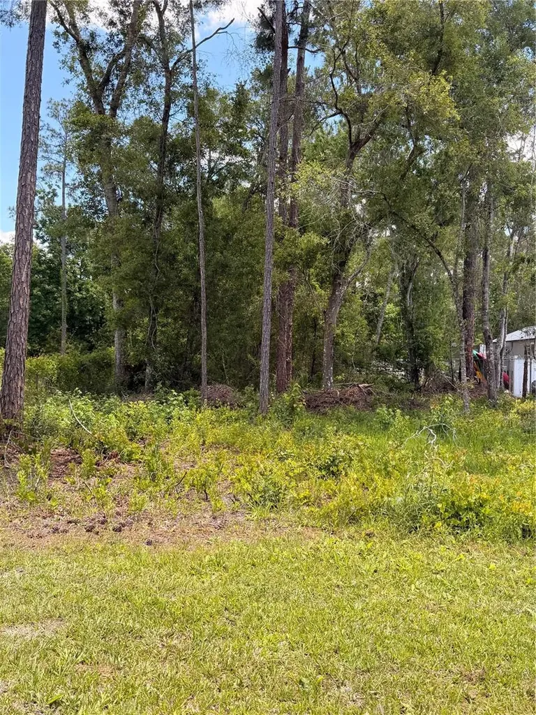 6327 Fig Avenue Webster FL 33597