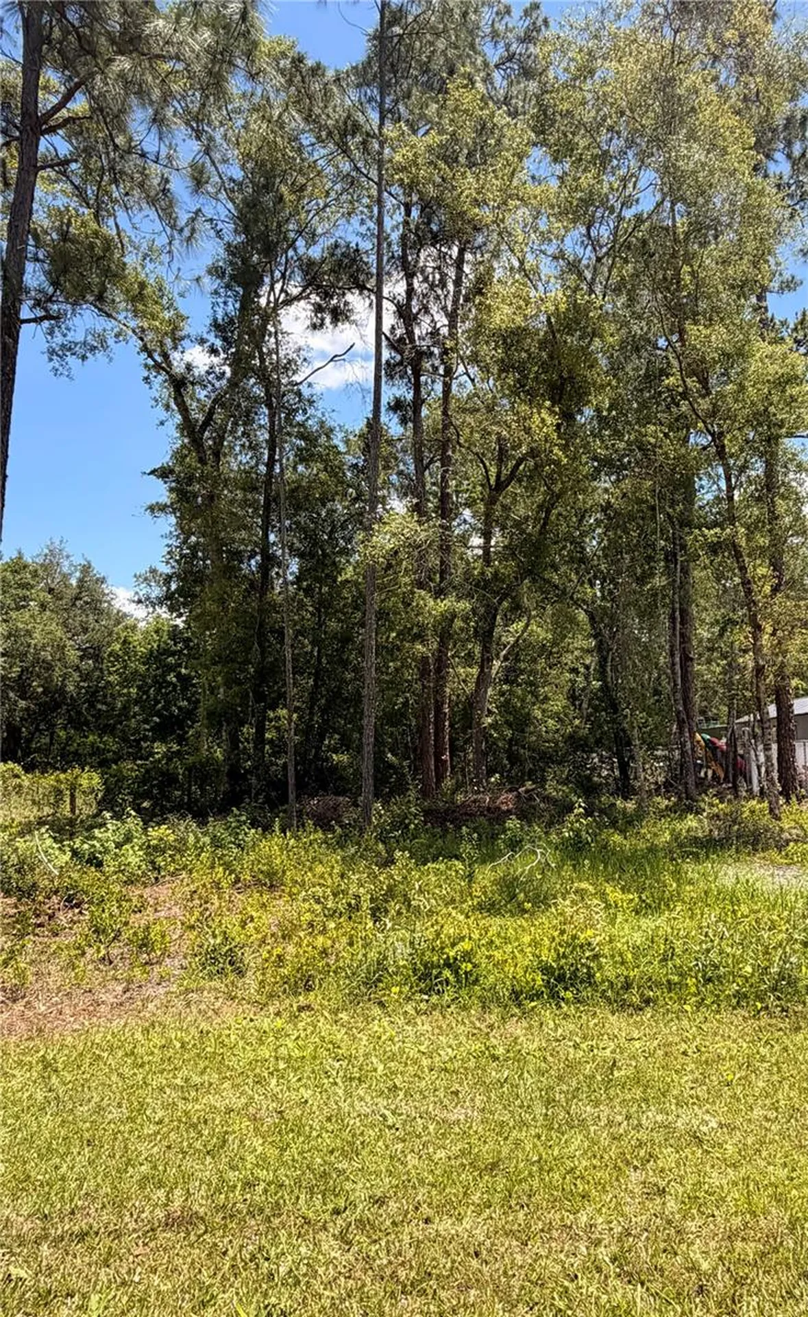 6327 Fig Avenue Webster FL 33597