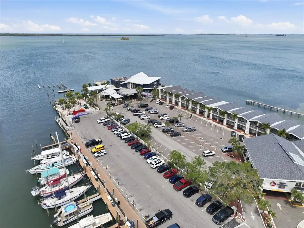 231 Lime Circle S Dunedin FL 34698