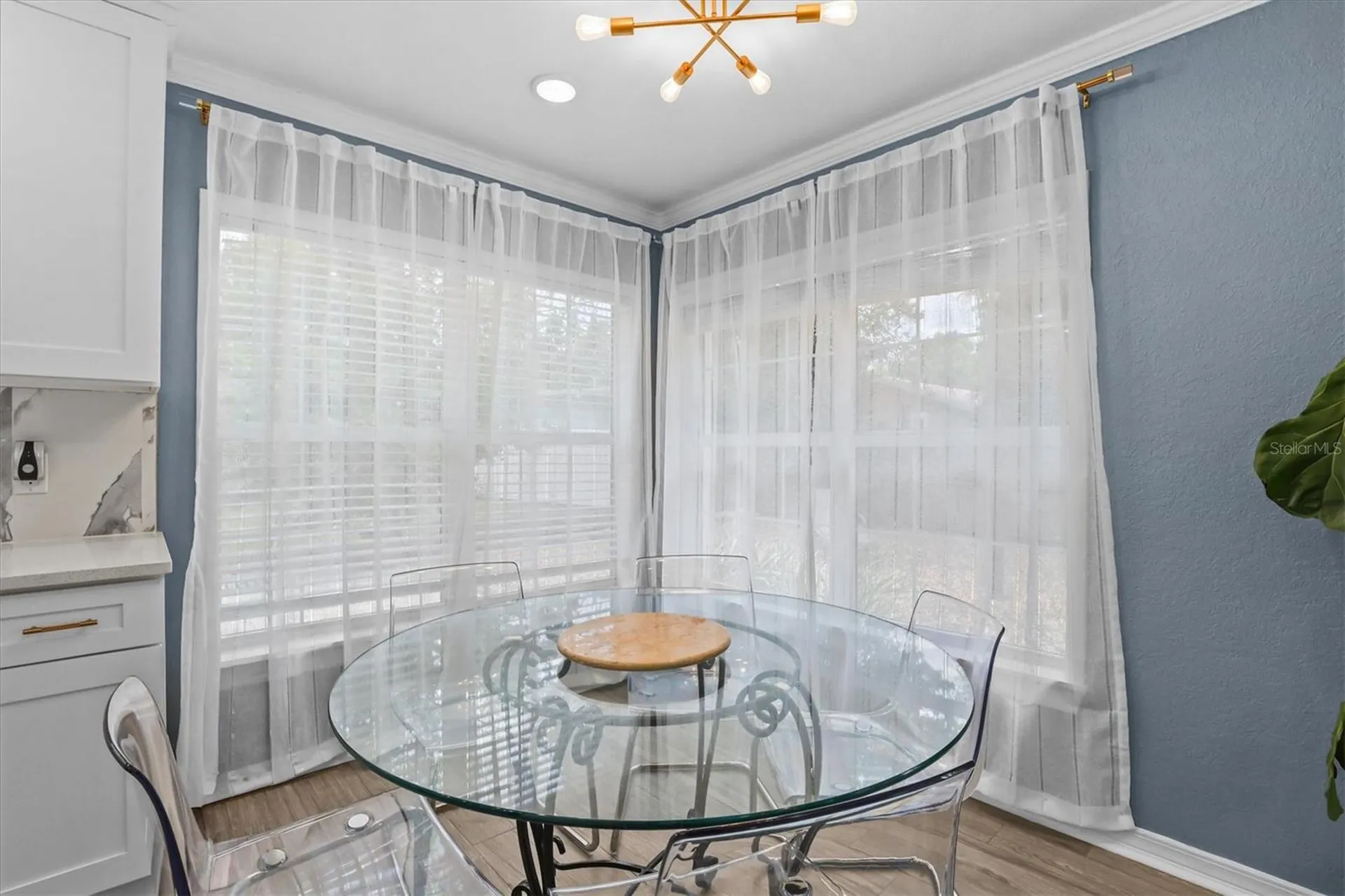 231 Lime Circle S Dunedin FL 34698