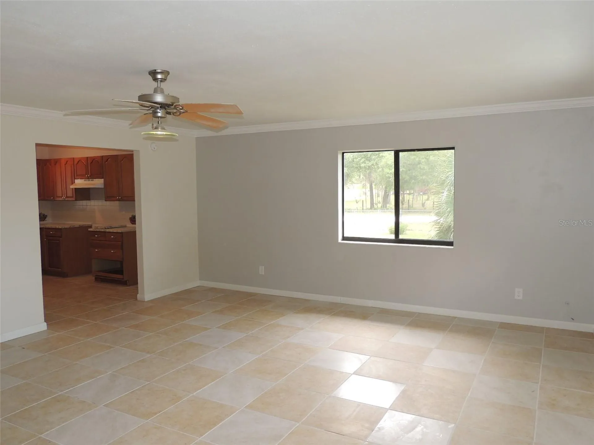 13250 NE 52nd Place Williston FL 32696