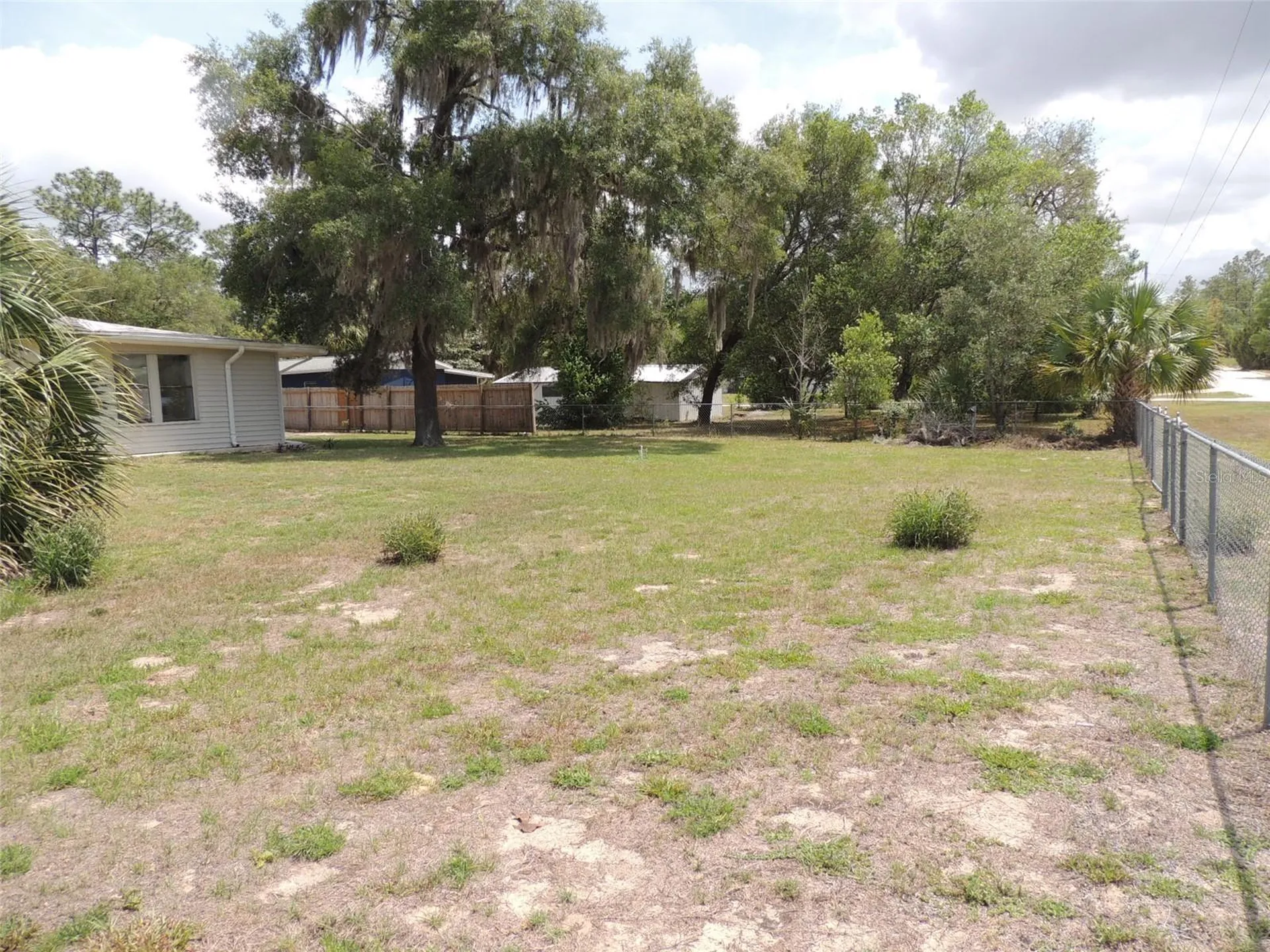 13250 NE 52nd Place Williston FL 32696