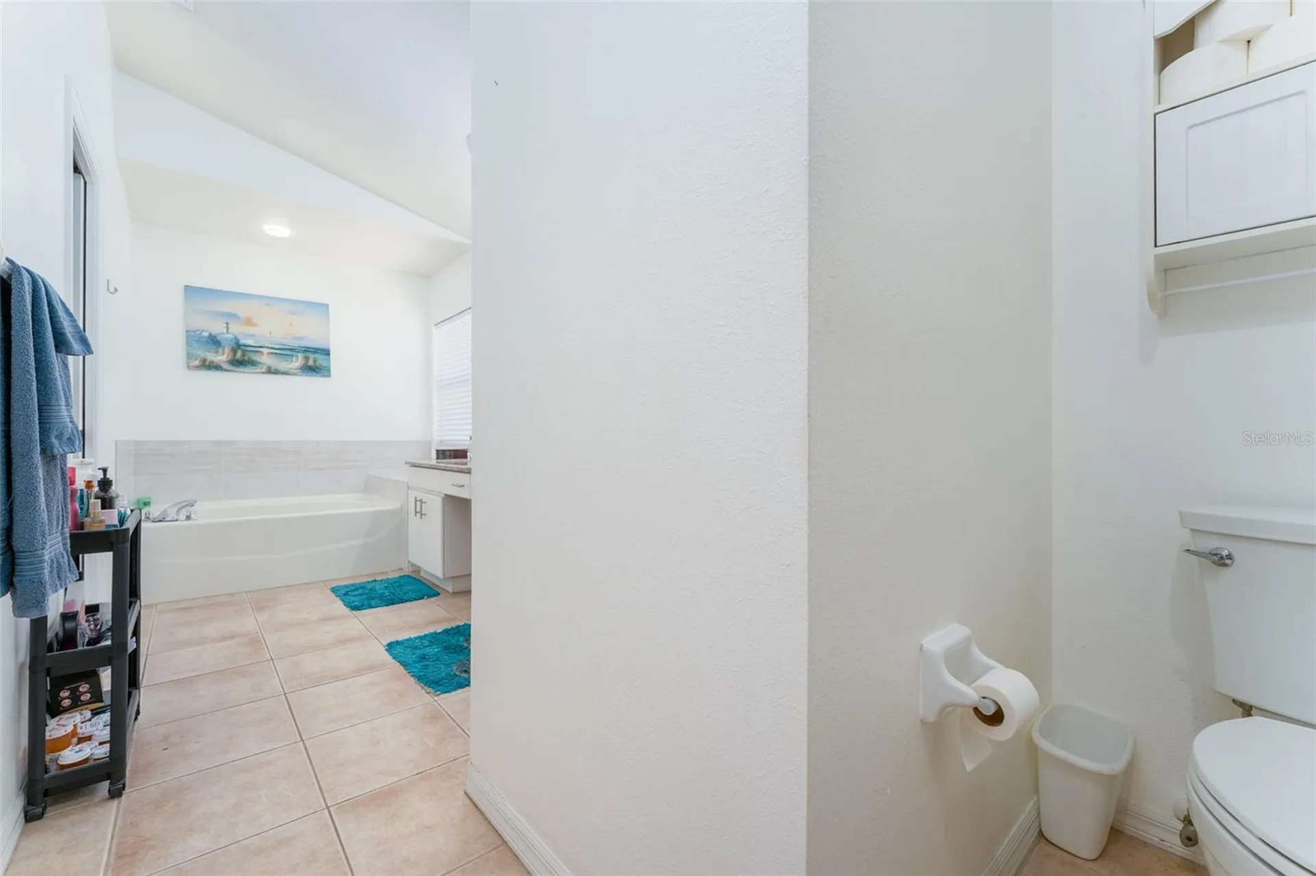 10727 Deepbrook Drive Riverview FL 33569