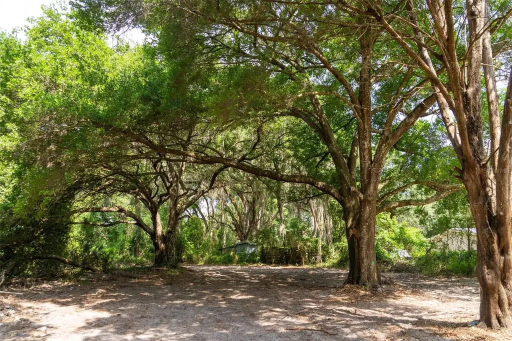 3482 County Road 507 Wildwood FL 34785