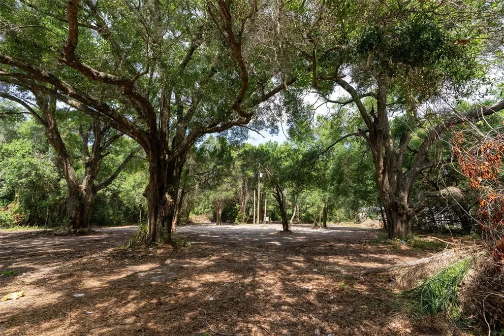 3482 County Road 507 Wildwood FL 34785