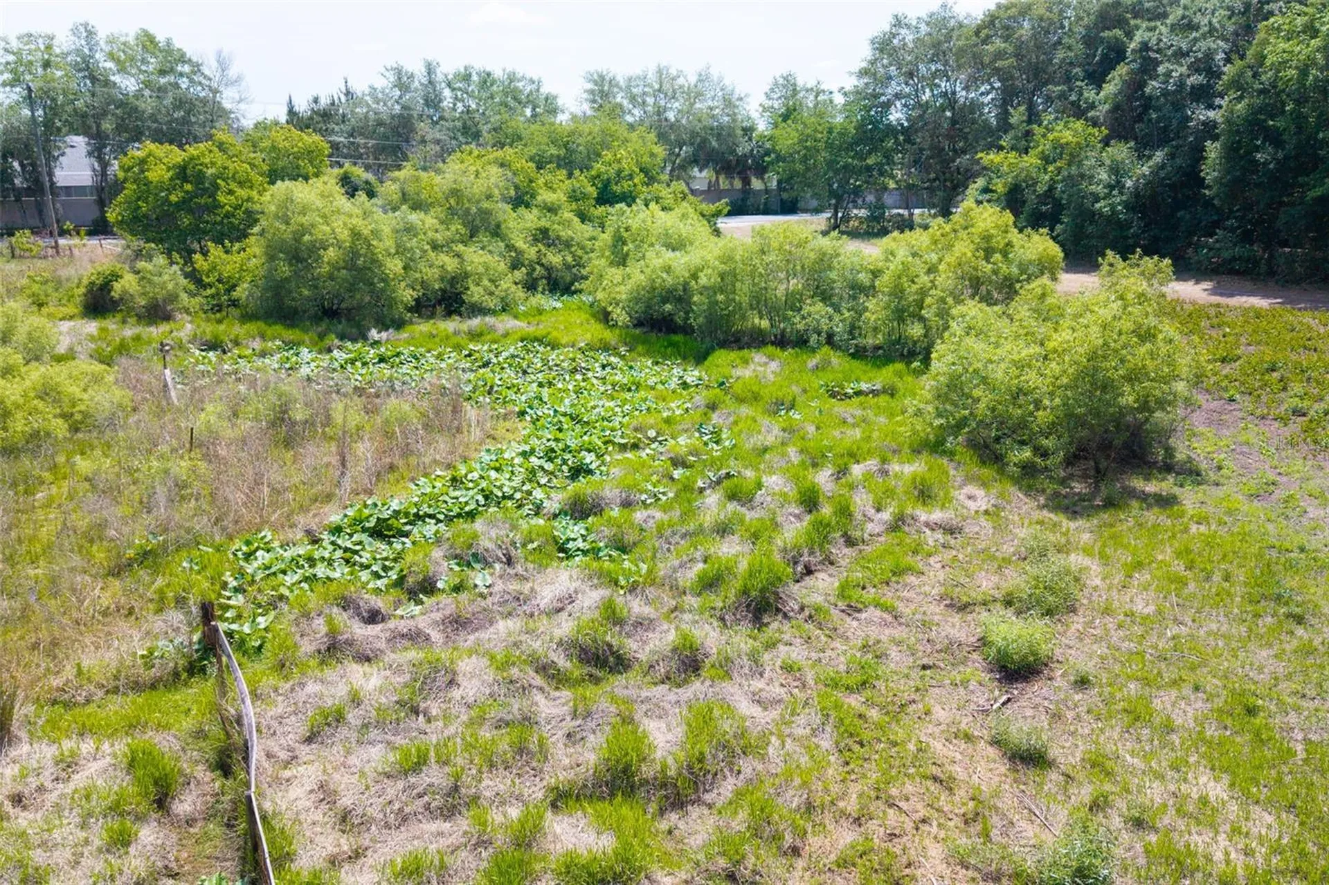 3482 County Road 507 Wildwood FL 34785