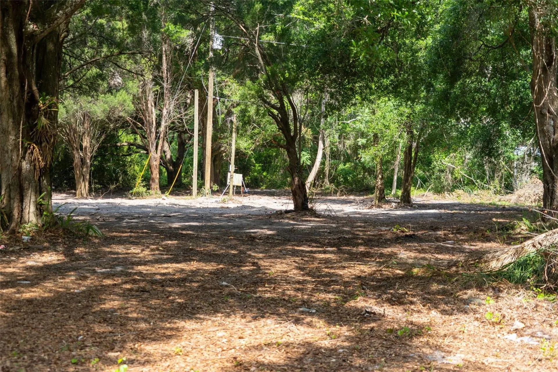 3482 County Road 507 Wildwood FL 34785