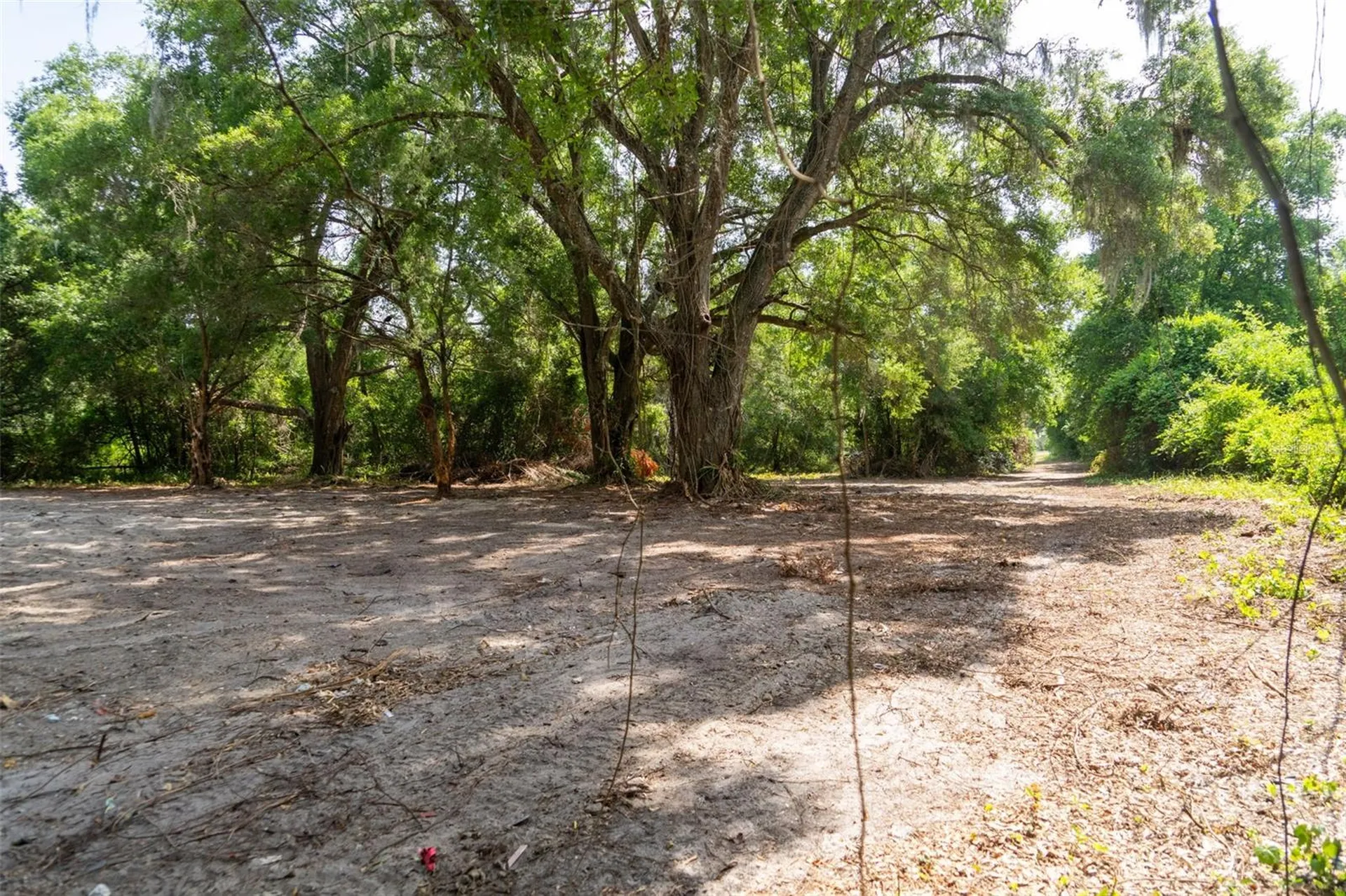 3482 County Road 507 Wildwood FL 34785