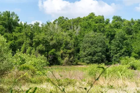 3482 County Road 507 Wildwood FL 34785