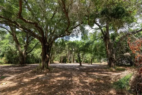 3482 County Road 507 Wildwood FL 34785