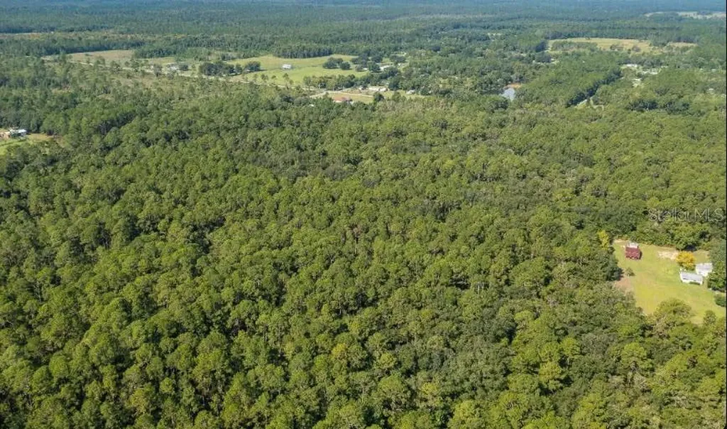 859 W River Road Palatka FL 32177