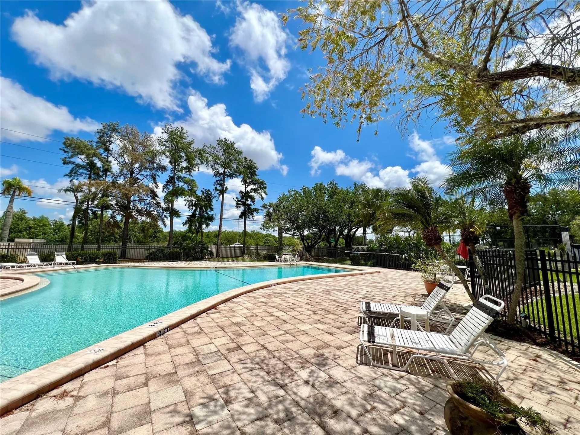 3014 Red Oak Court Palm Harbor FL 34684
