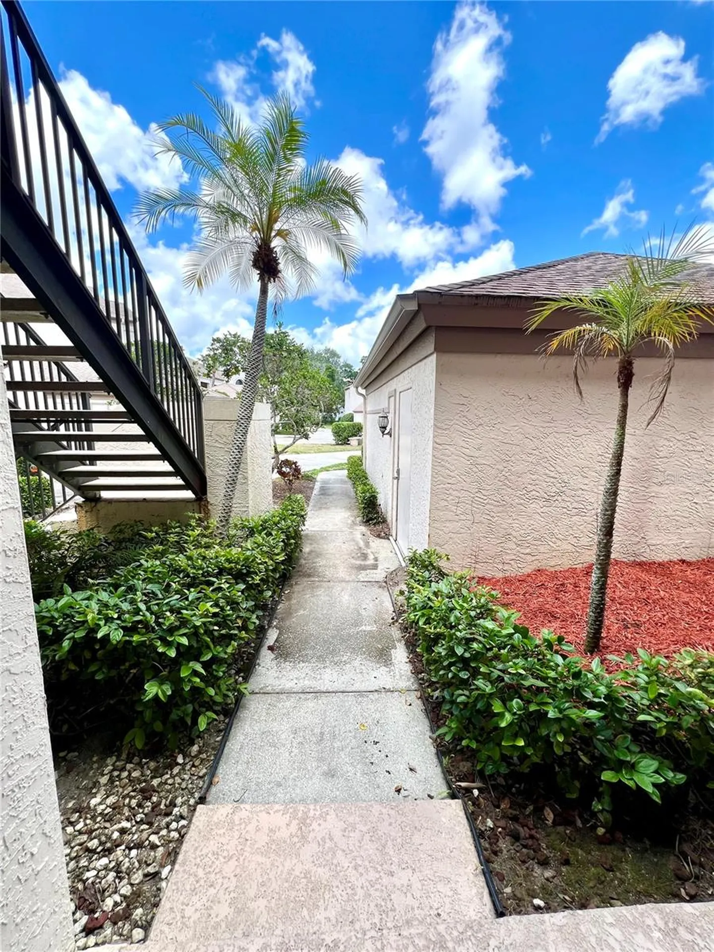 3014 Red Oak Court Palm Harbor FL 34684