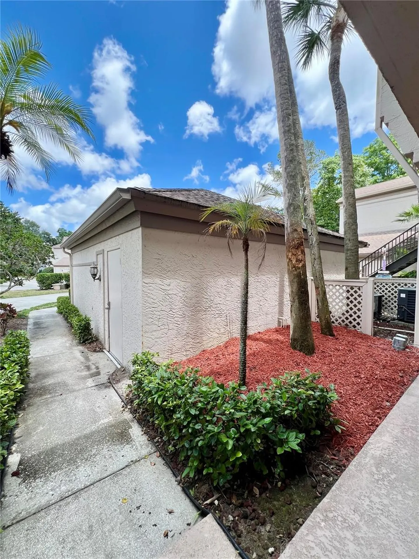 3014 Red Oak Court Palm Harbor FL 34684