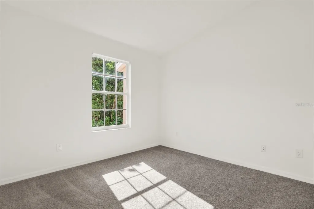 1439 Sedgwick Drive Wesley Chapel FL 33543