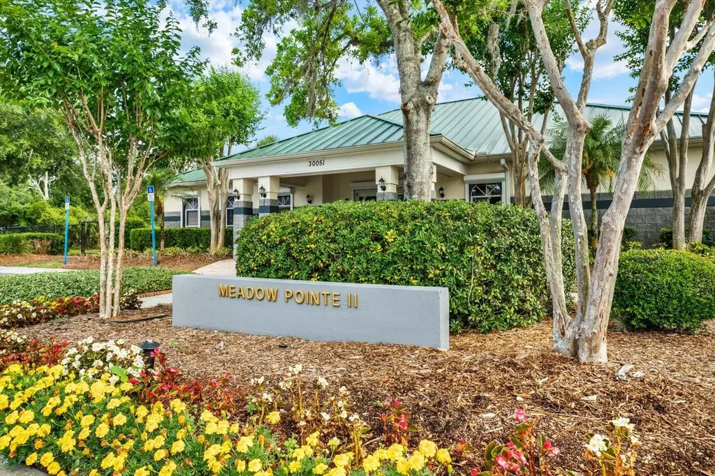 1439 Sedgwick Drive Wesley Chapel FL 33543