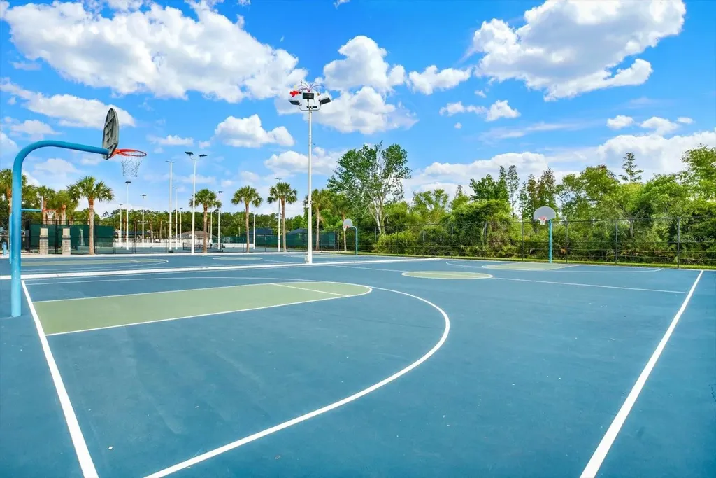 1439 Sedgwick Drive Wesley Chapel FL 33543
