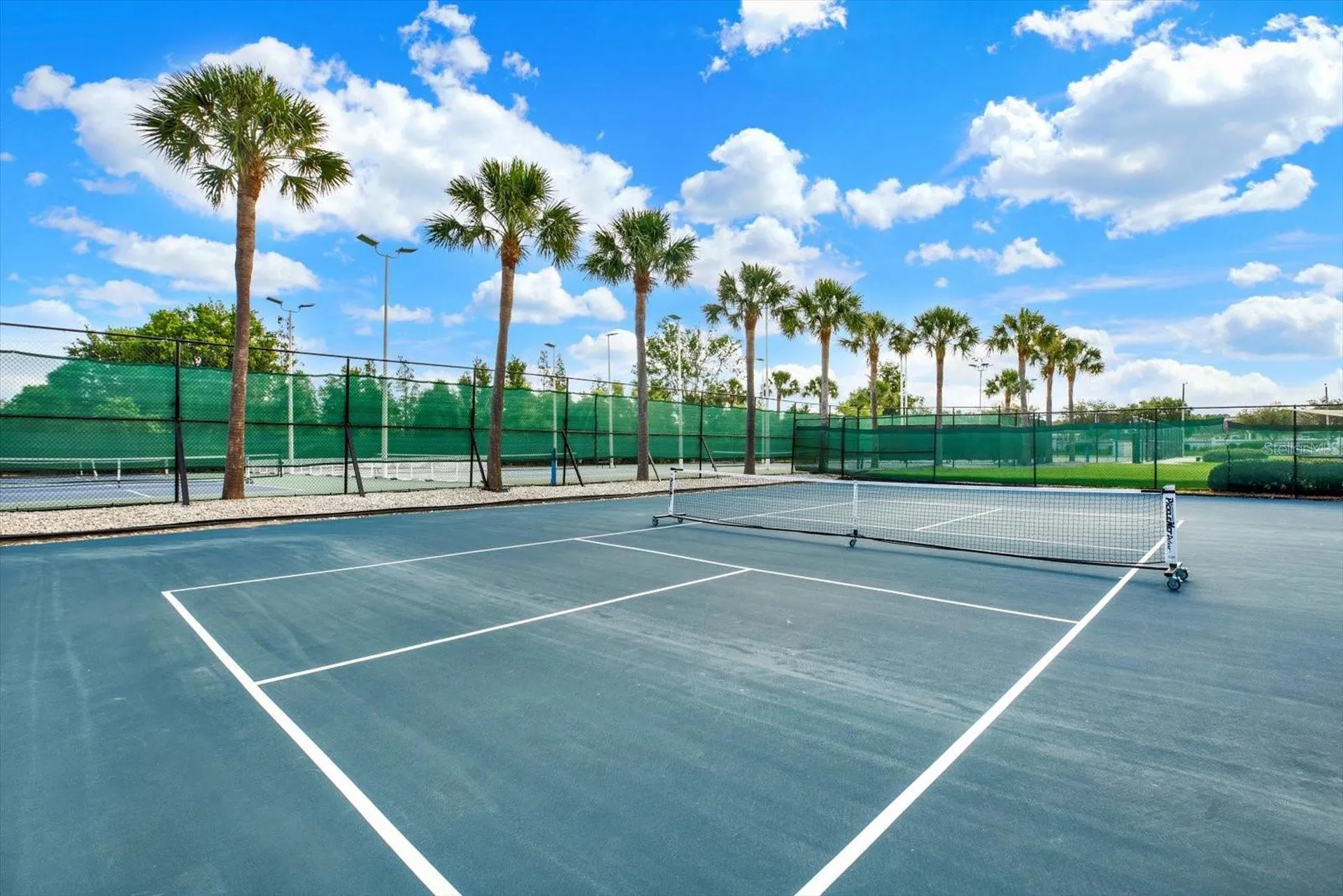1439 Sedgwick Drive Wesley Chapel FL 33543