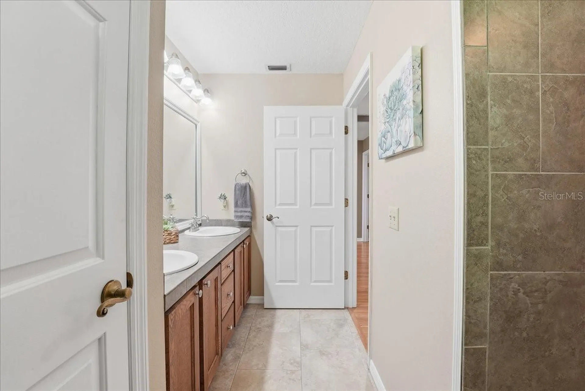 15241 Shady Lane Tavares FL 32778