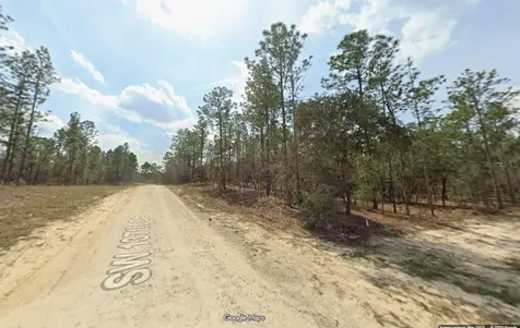 SW 137th Court Ocala FL 34481
