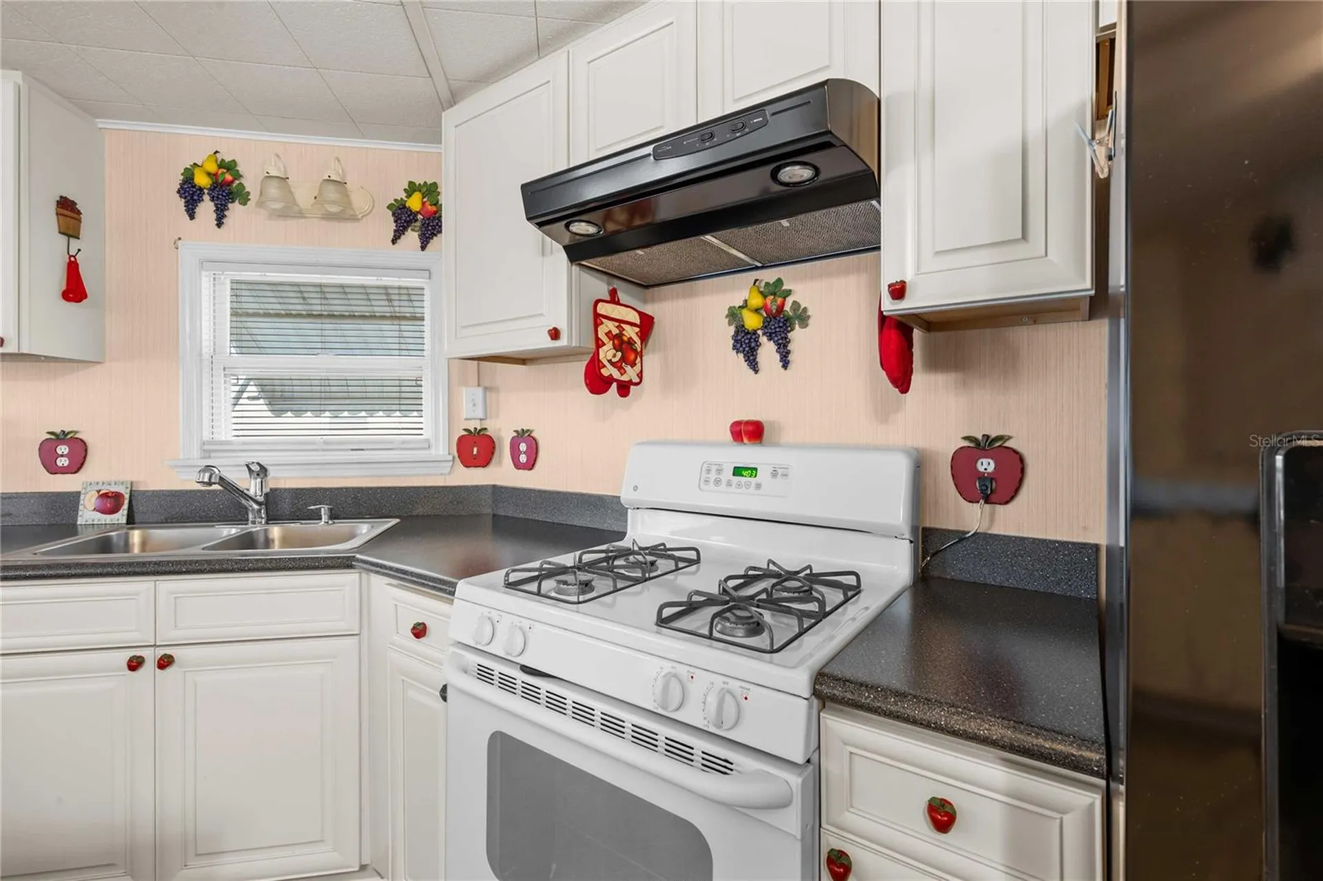 36436 Cordova Circle Zephyrhills FL 33541