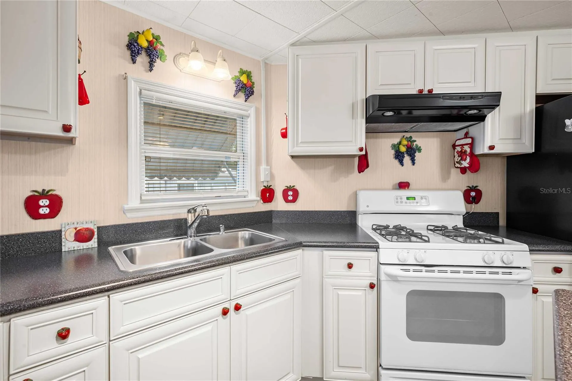 36436 Cordova Circle Zephyrhills FL 33541