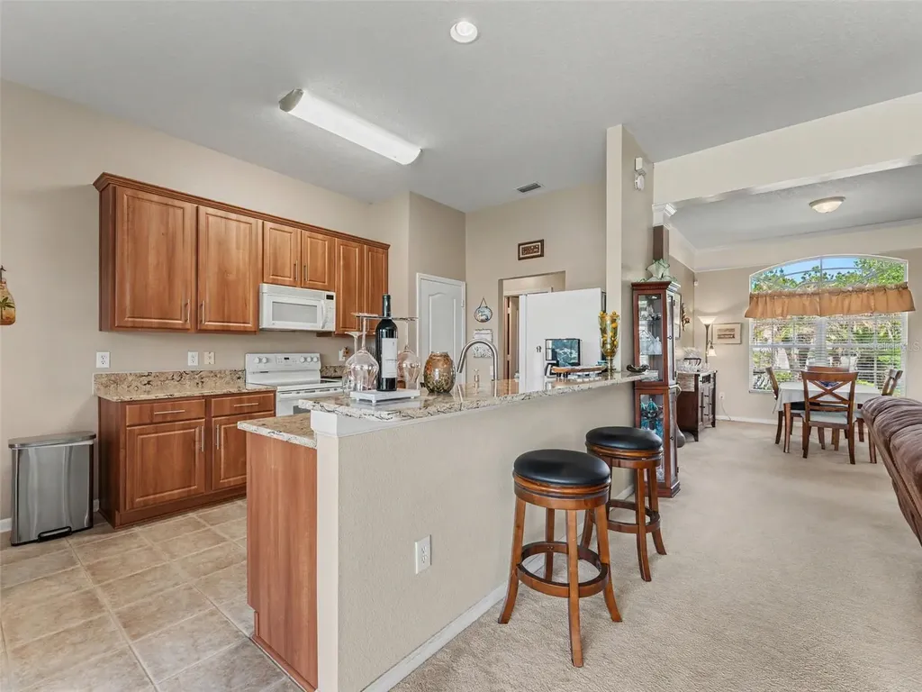 5746 Riva Ridge Drive Wesley Chapel FL 33544