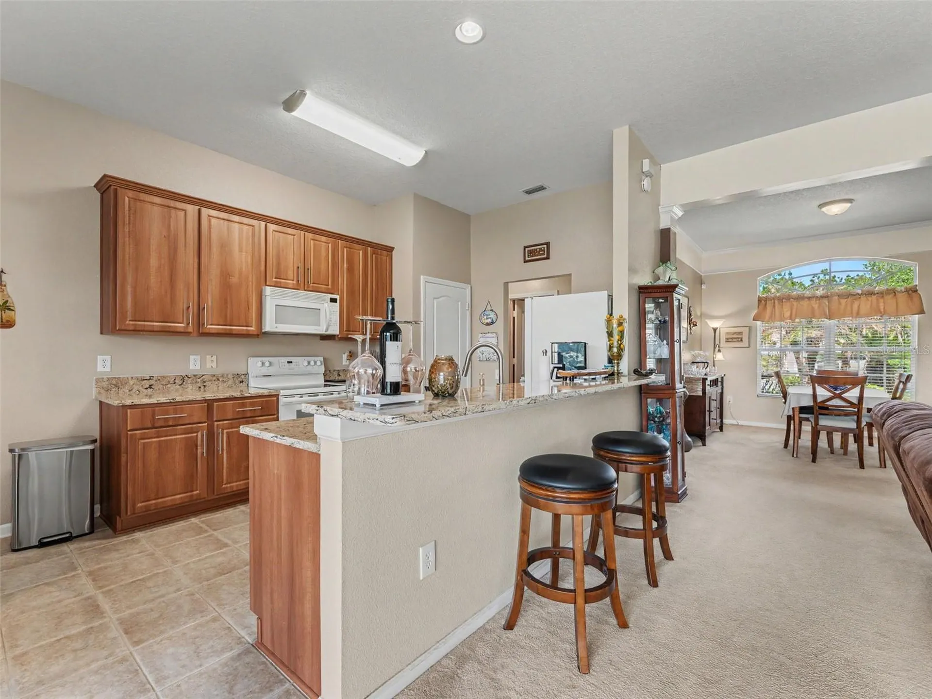 5746 Riva Ridge Drive Wesley Chapel FL 33544