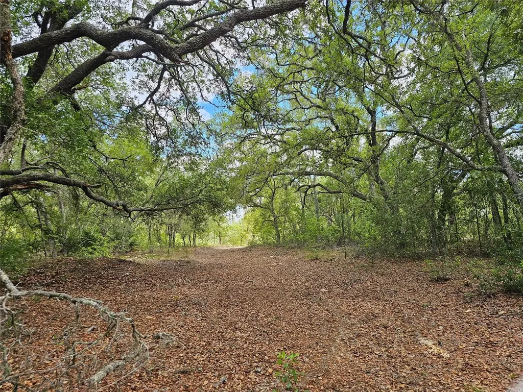 2950 W Pompano Lane Dunnellon FL 34433