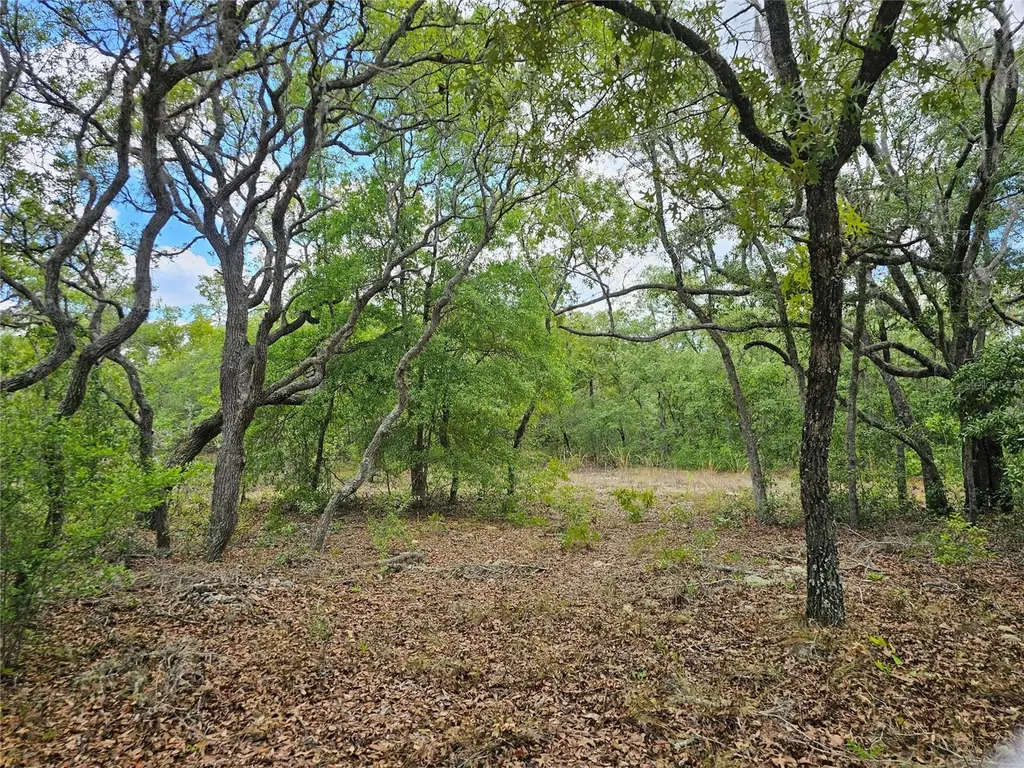 2950 W Pompano Lane Dunnellon FL 34433