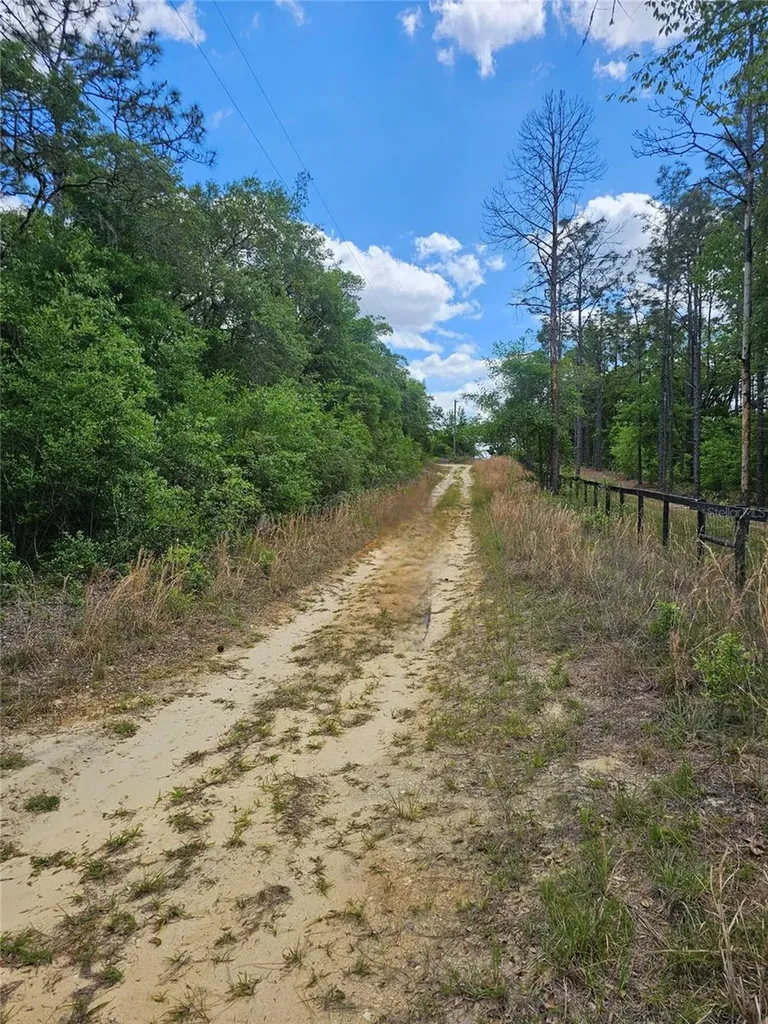 2950 W Pompano Lane Dunnellon FL 34433