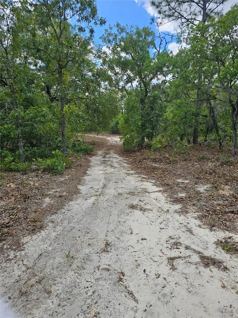 2950 W Pompano Lane Dunnellon FL 34433