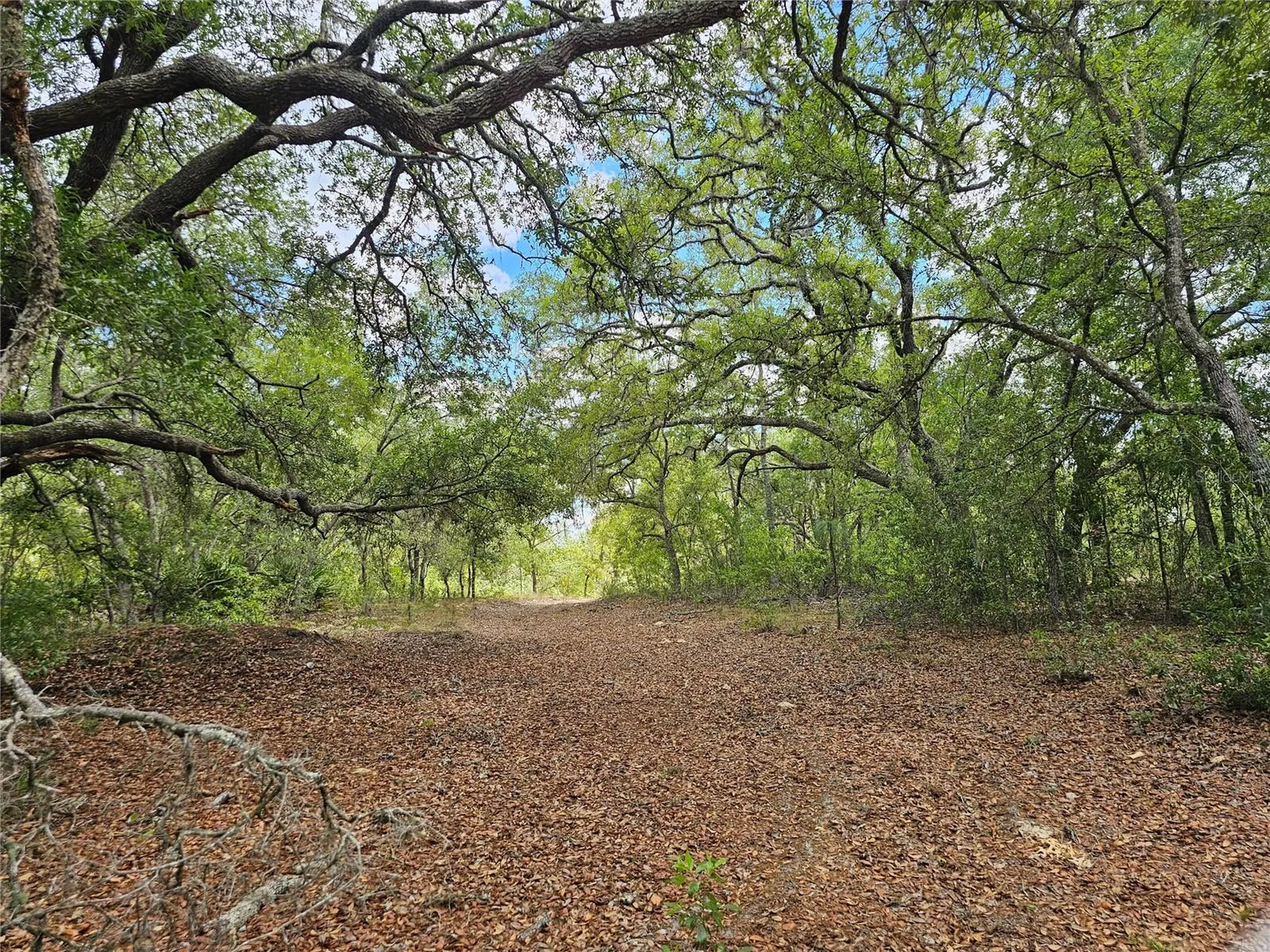 2950 W Pompano Lane Dunnellon FL 34433