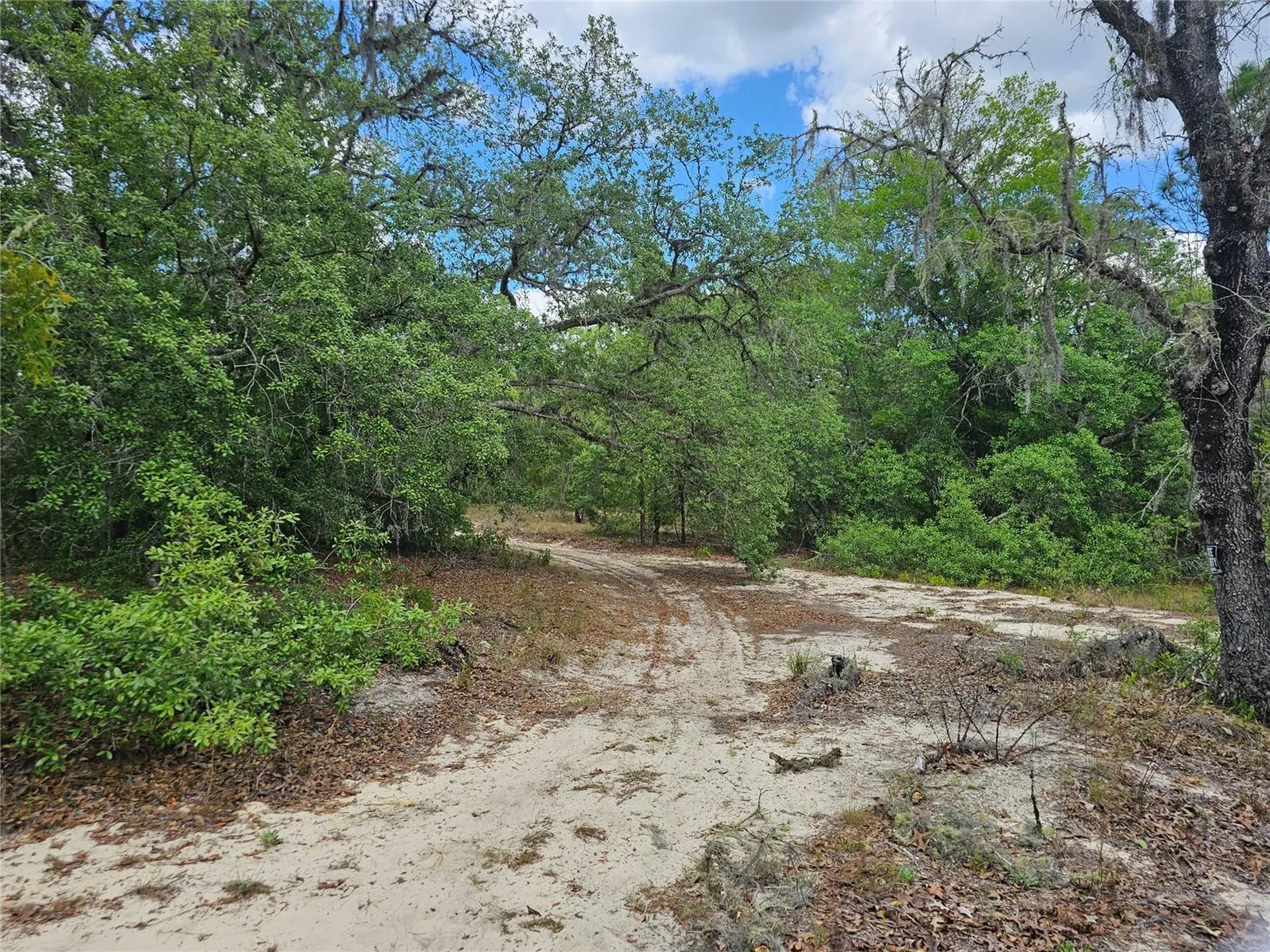 2950 W Pompano Lane Dunnellon FL 34433