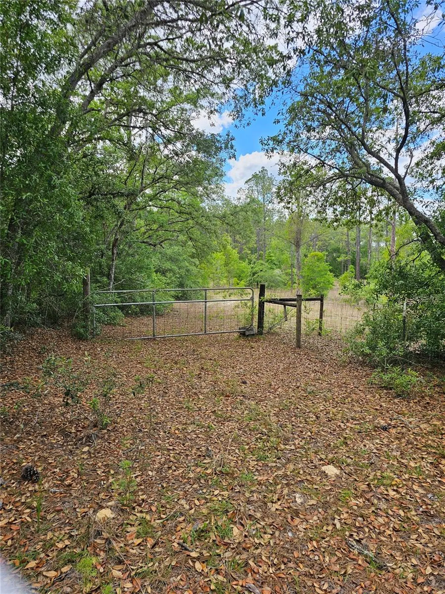 2950 W Pompano Lane Dunnellon FL 34433