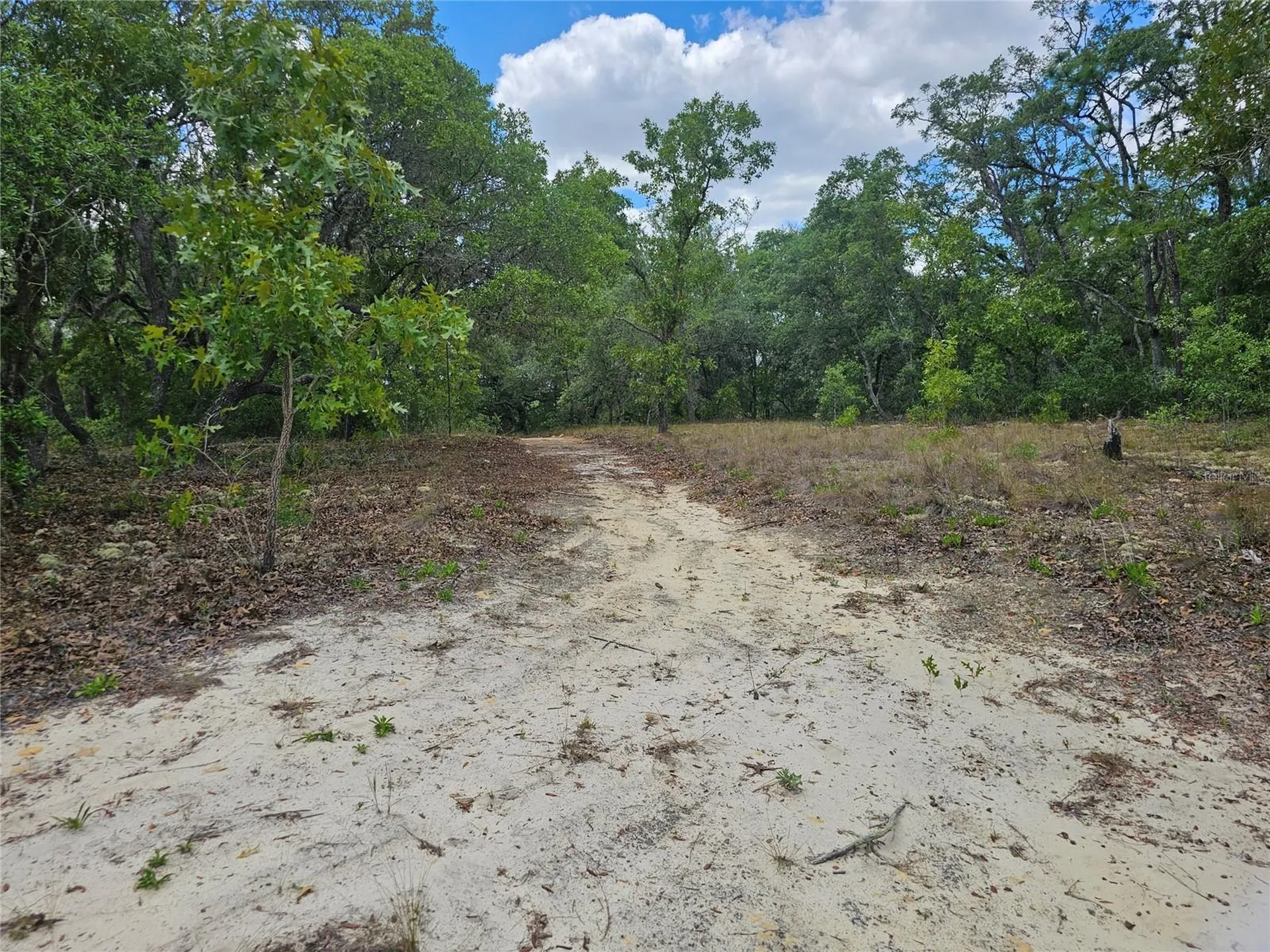 2950 W Pompano Lane Dunnellon FL 34433