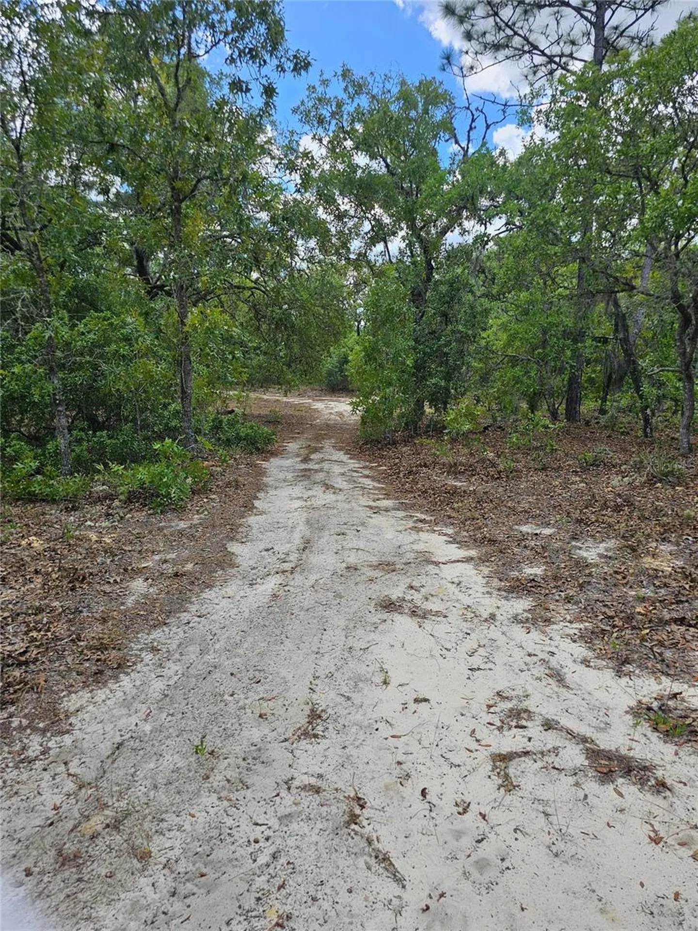 2950 W Pompano Lane Dunnellon FL 34433