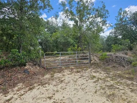 2950 W Pompano Lane Dunnellon FL 34433