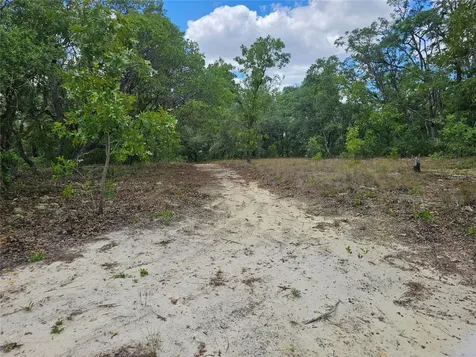 2950 W Pompano Lane Dunnellon FL 34433