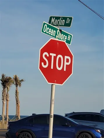 123 Marlin Drive Ormond By The Sea FL 32176