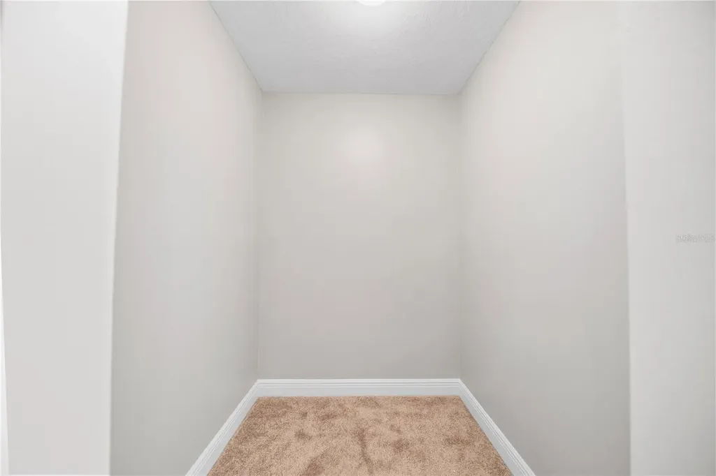 8848 Bogaert Drive Groveland FL 34736