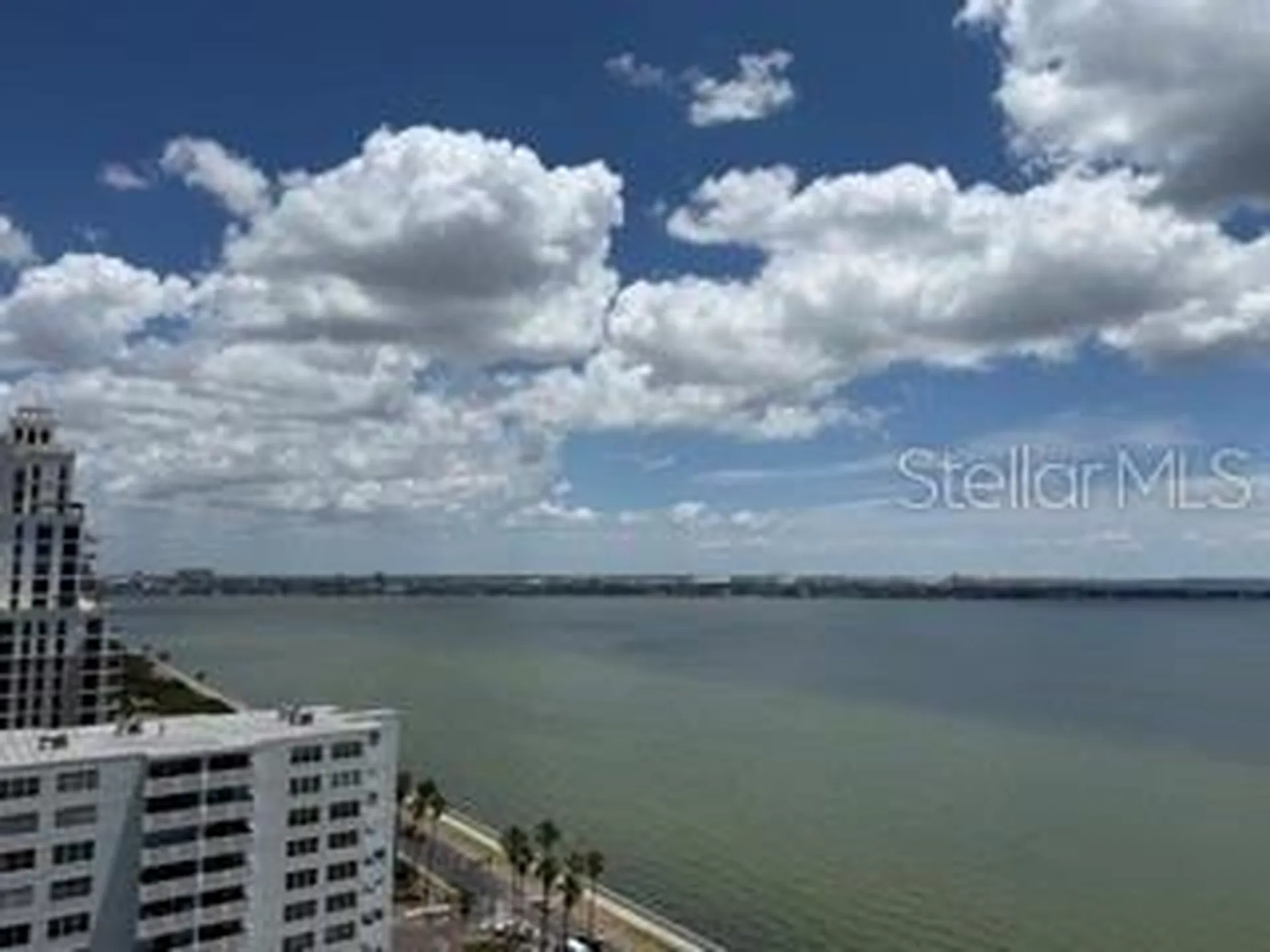 2413 Bayshore Boulevard Tampa FL 33629