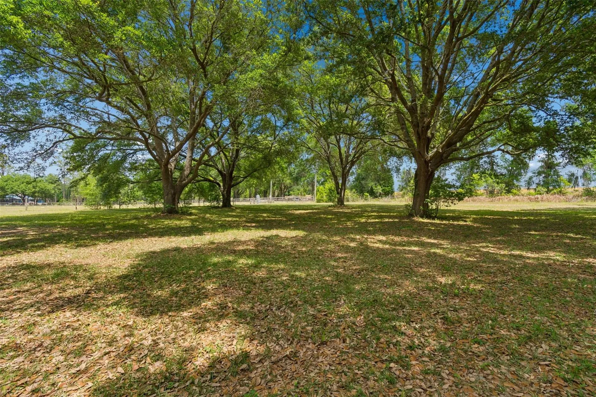 17879 Parrish Grove Road Dade City FL 33523