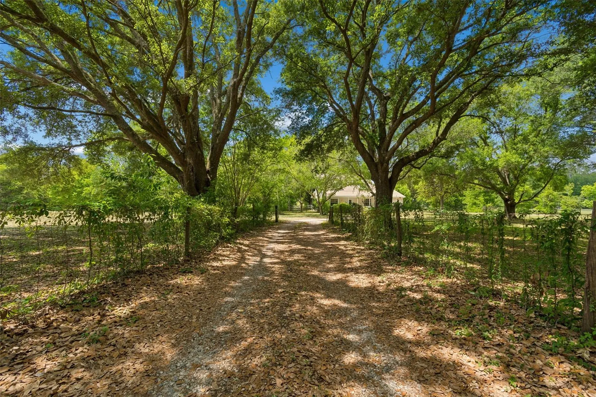 17879 Parrish Grove Road Dade City FL 33523