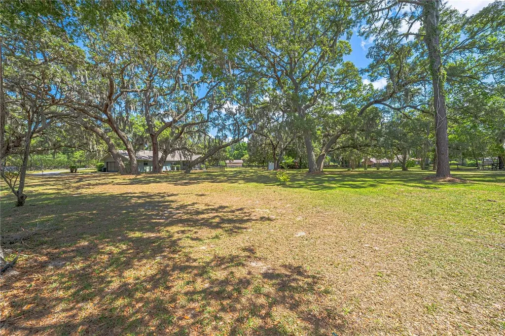 10500 SW 65th Terrace Ocala FL 34476