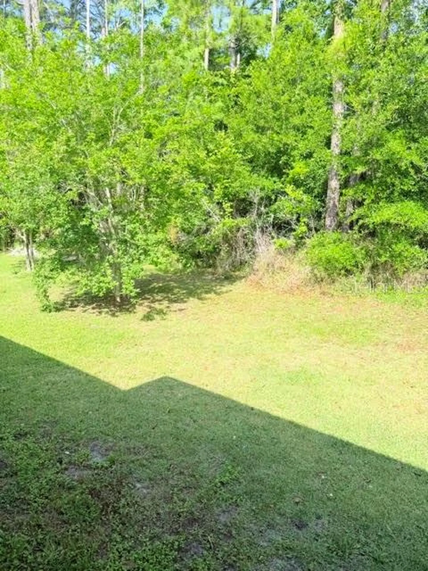 113 Brunswick Lane Palm Coast FL 32137