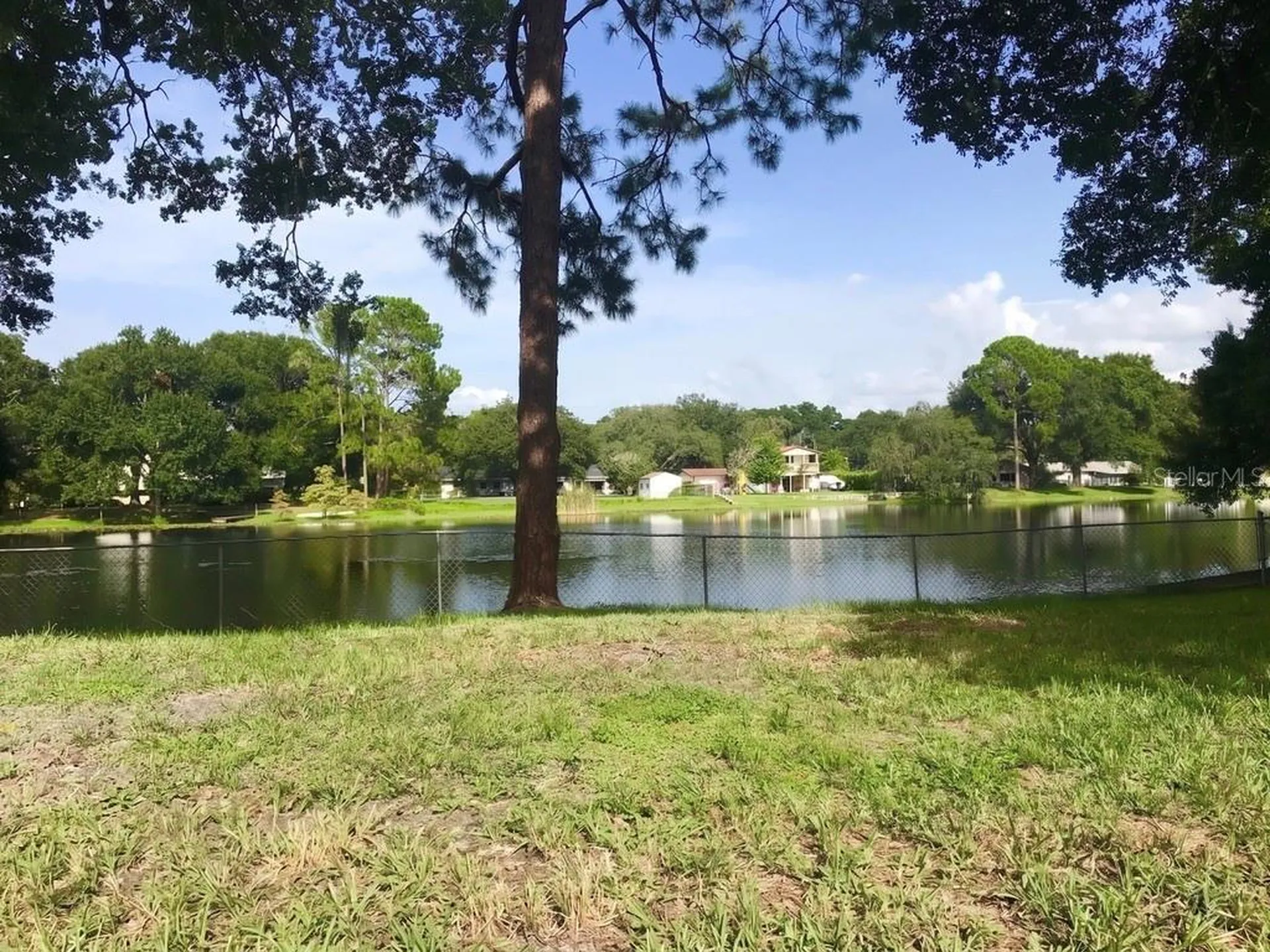12001 N Gomez Avenue Tampa FL 33618