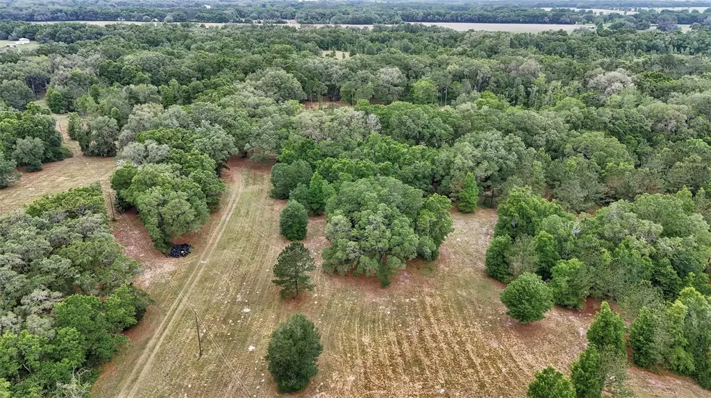 650 NE 200th Avenue Williston FL 32696