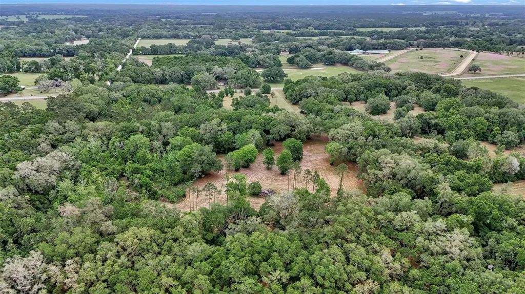 650 NE 200th Avenue Williston FL 32696